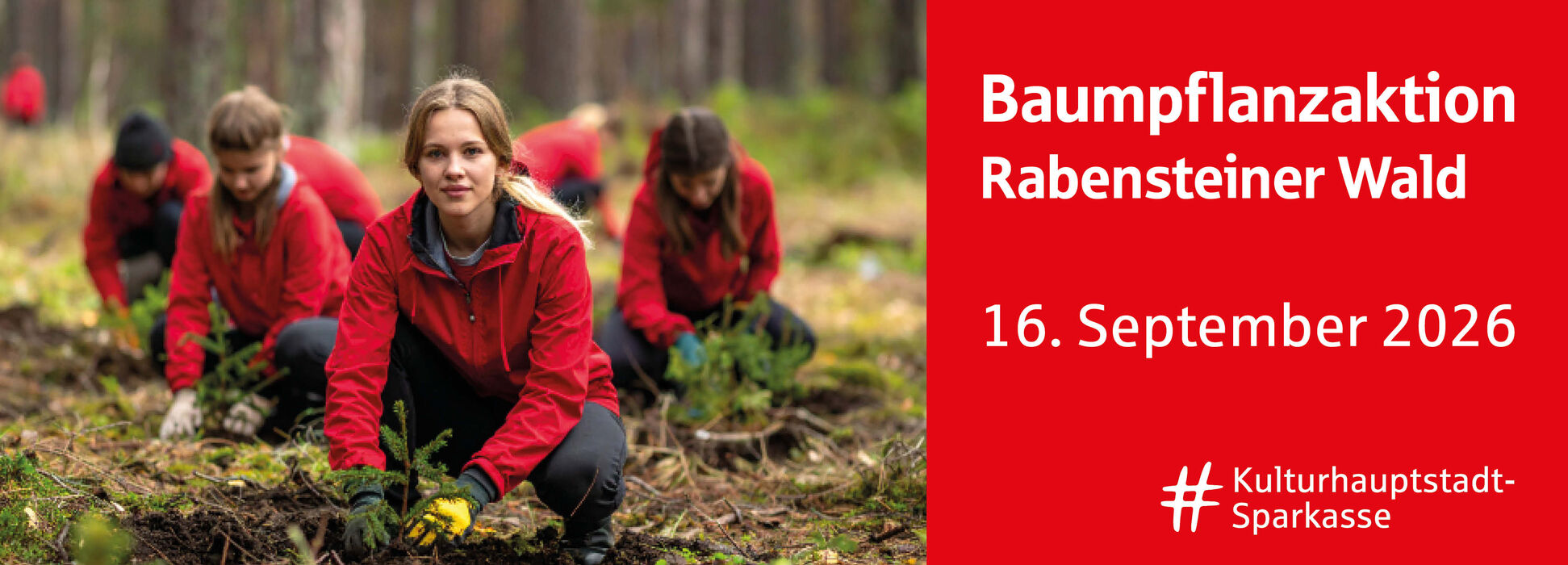 Baumpflanzaktion im Rabensteiner Wald
