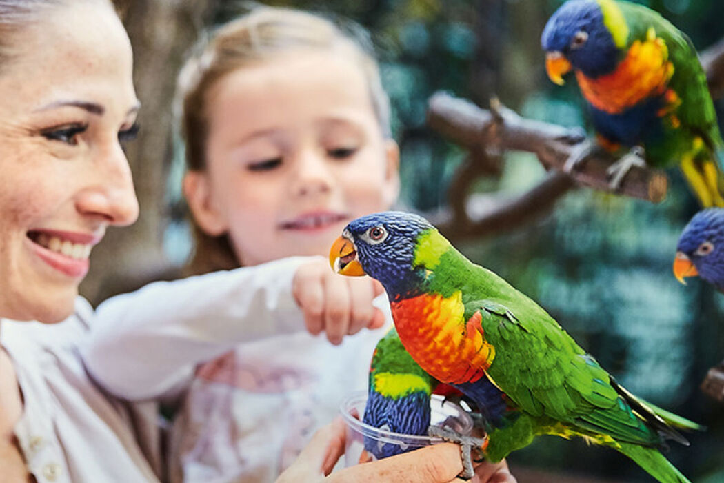 KNAX-Fahrt in den Weltvogelpark Walsrode (Der Vorverkauf startet am 1. Juni!)