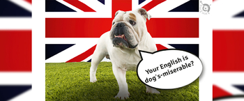 Digitaler Infoabend Sprachreisen 2026